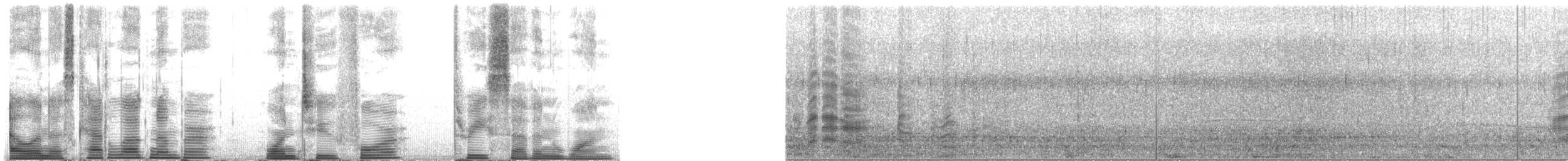 Long-finned Pilot Whale - ML124371