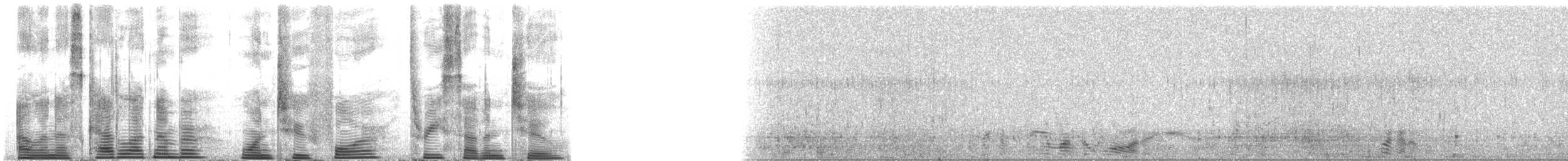 Long-finned Pilot Whale - ML124372