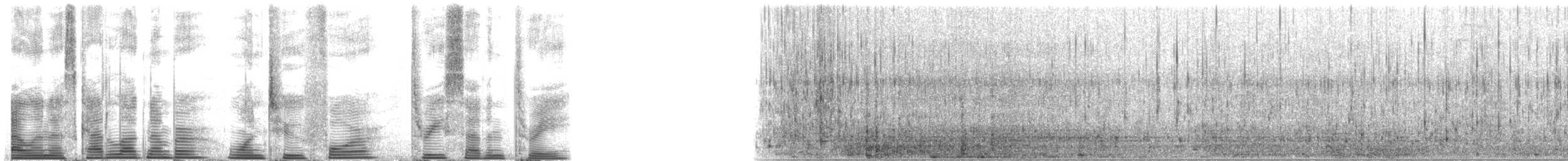 Long-finned Pilot Whale - ML124373