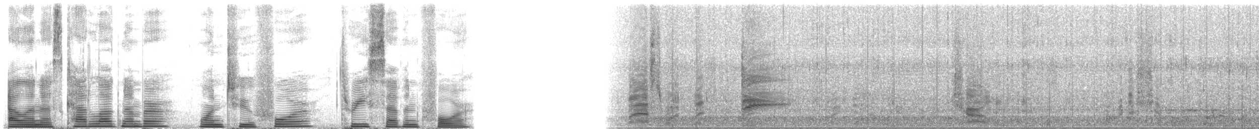 Long-finned Pilot Whale - ML124374