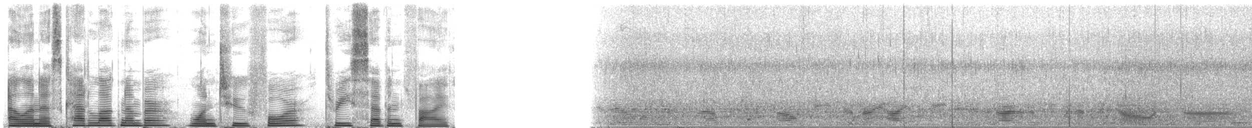 Long-finned Pilot Whale - ML124375