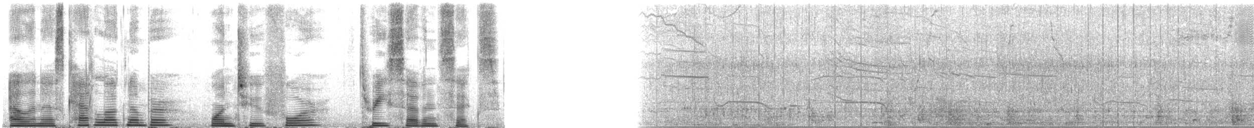 Long-finned Pilot Whale - ML124376