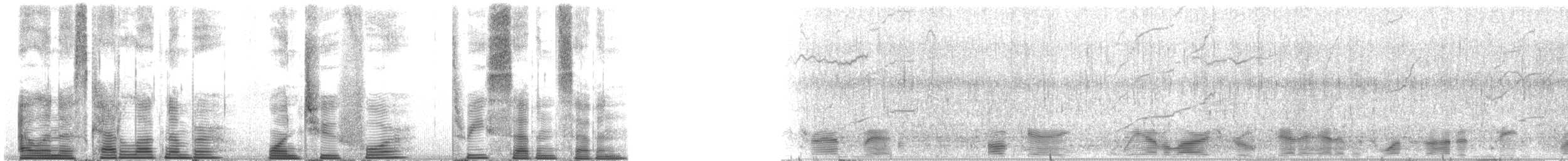 Long-finned Pilot Whale - ML124377