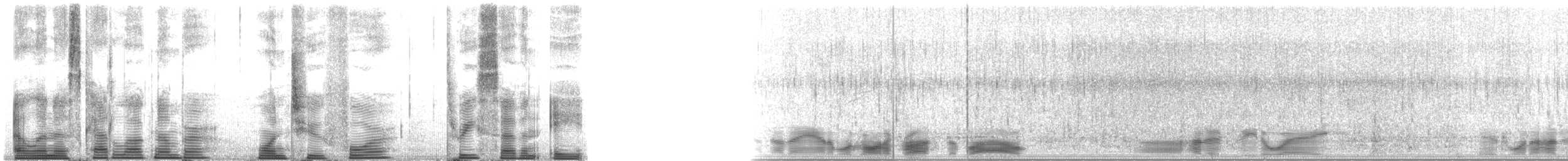 Long-finned Pilot Whale - ML124378