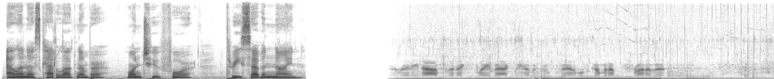 Long-finned Pilot Whale - ML124379