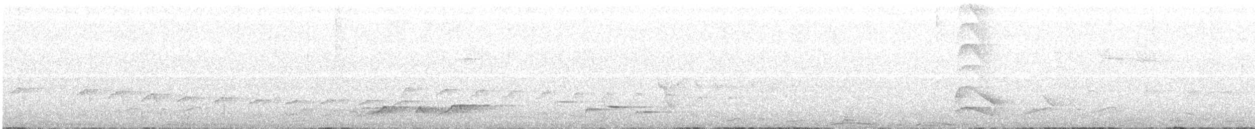 Noisy Pitta - ML124394521