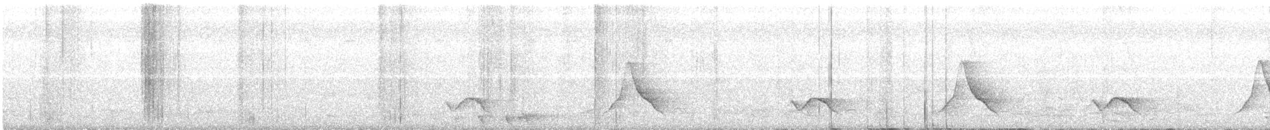 Black-winged Monarch - ML124394901