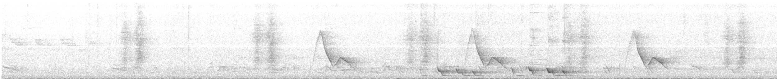 Black-winged Monarch - ML124399691