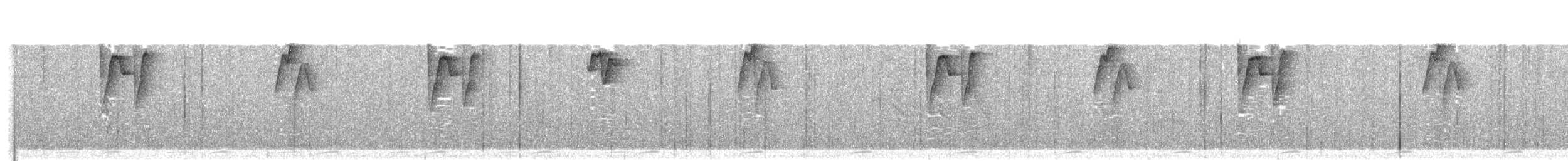 Клинохвостый колибри-отшельник - ML124409201