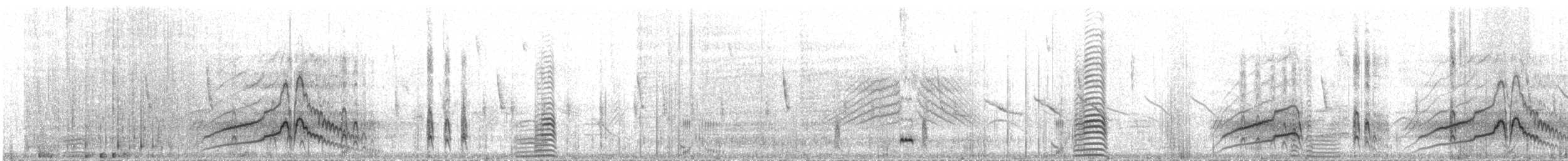 Canard de Chiloé - ML124452051