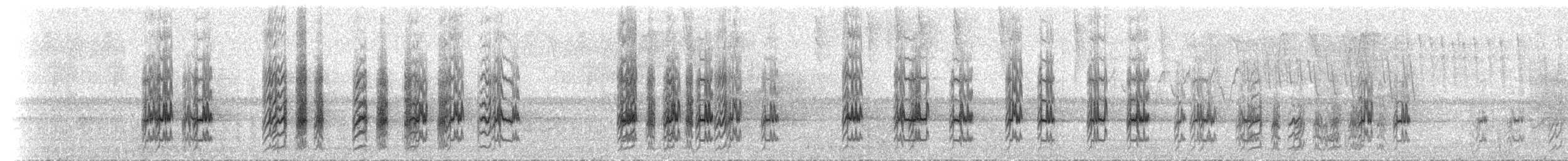 Spot-winged Parrotlet - ML124454231