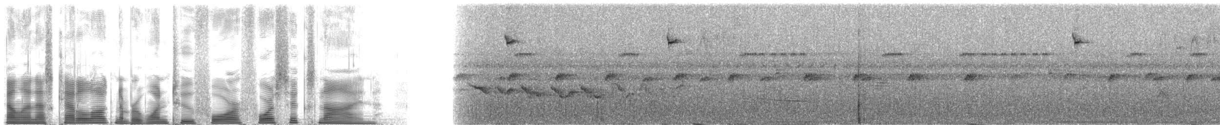 ノドジロキリハシハチドリ - ML124469