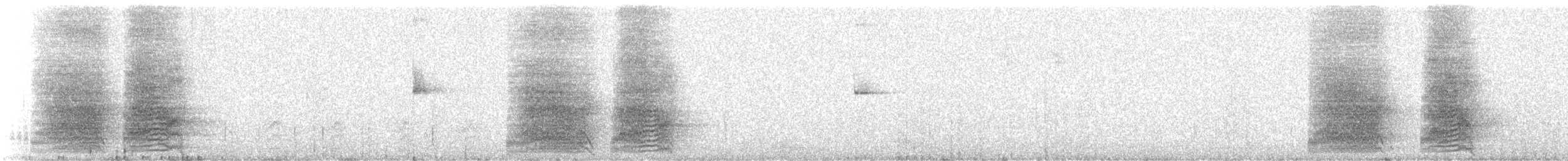 Chara de Steller - ML124481101