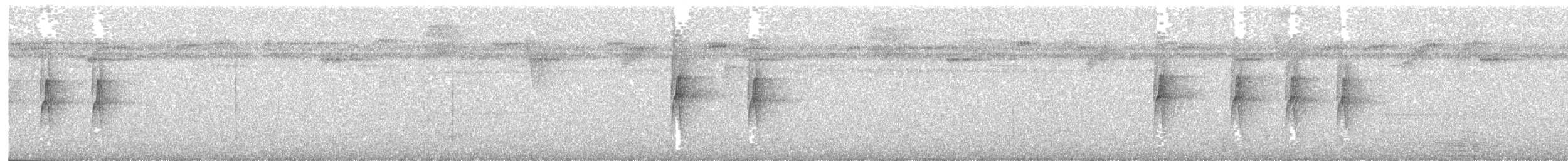 Мурав’янка-куцохвіст плямиста - ML124483001