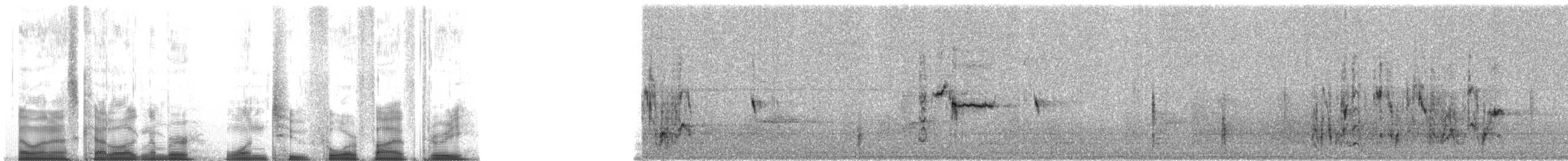 Rusty Blackbird - ML12453