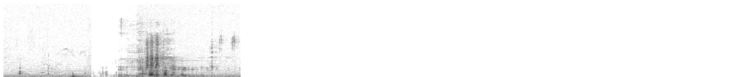 maghrebskjære - ML124533311