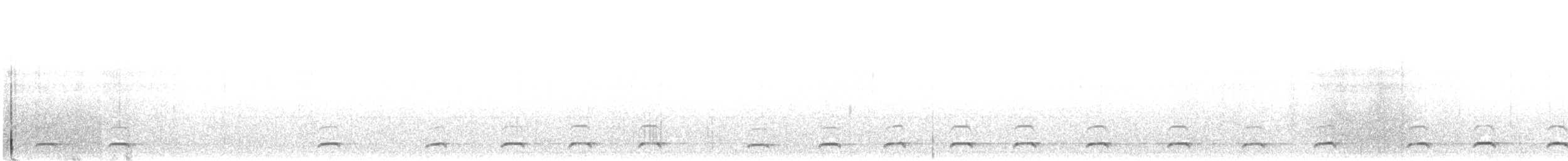 sýc americký - ML124536711