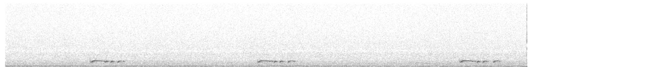 holoubek vlnkovaný - ML124569161