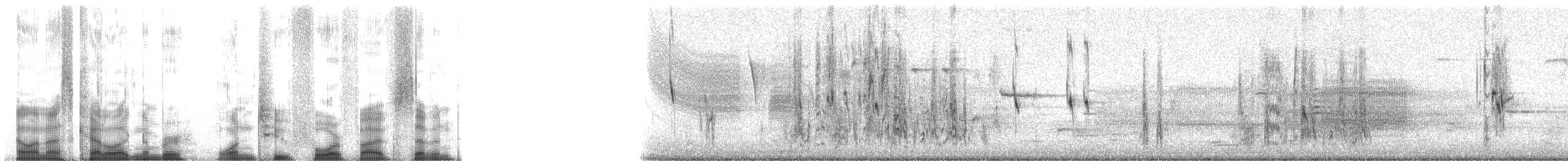 Rusty Blackbird - ML12457