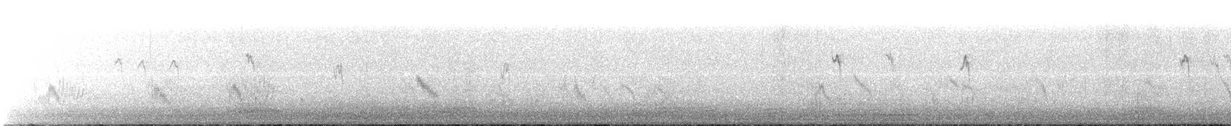 havran polní - ML124612471