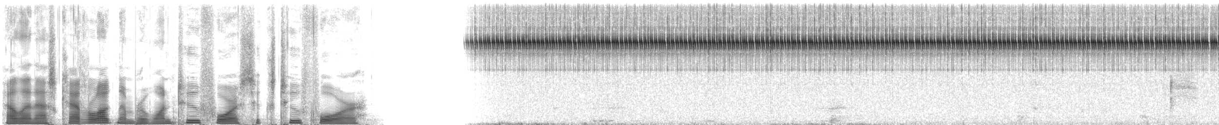 Handsome Trig - ML124624