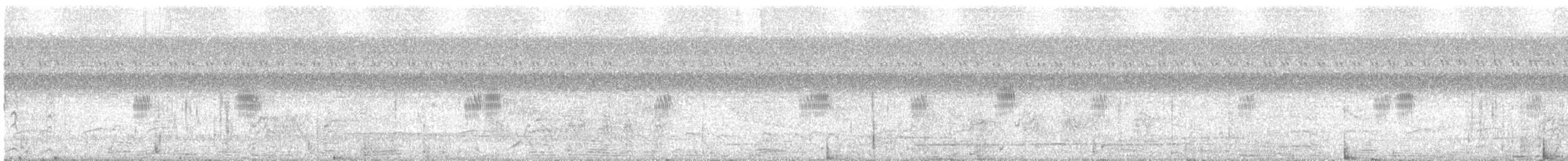 hvitbremsvale - ML124761021