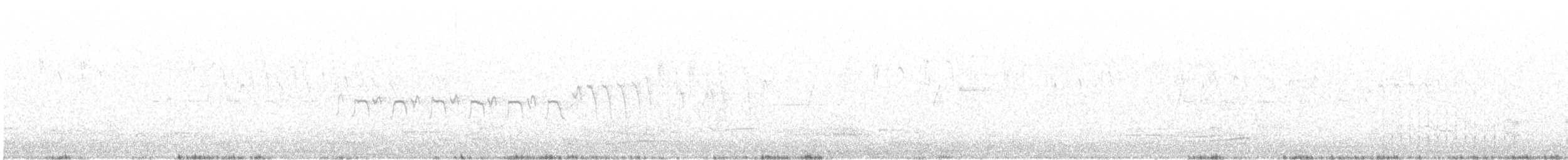 Чёрно-белая веерохвостка - ML124763701