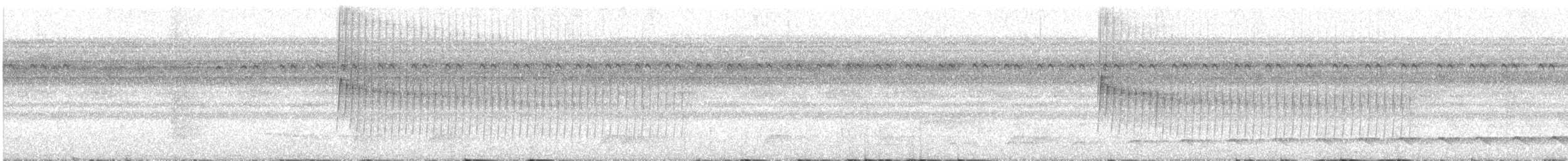 Schmalbrauen-Ameisenschnäpper - ML124791001