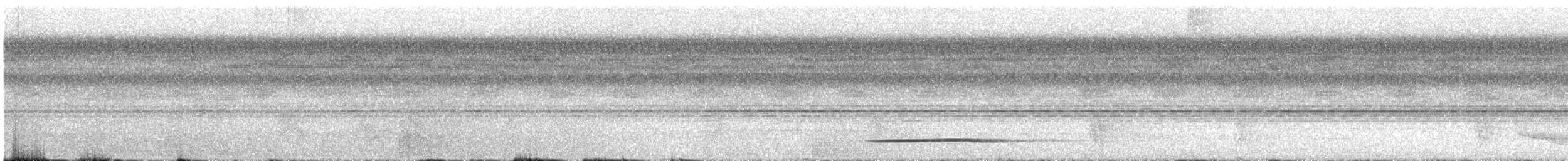 Bartlett's Tinamou - ML124791381