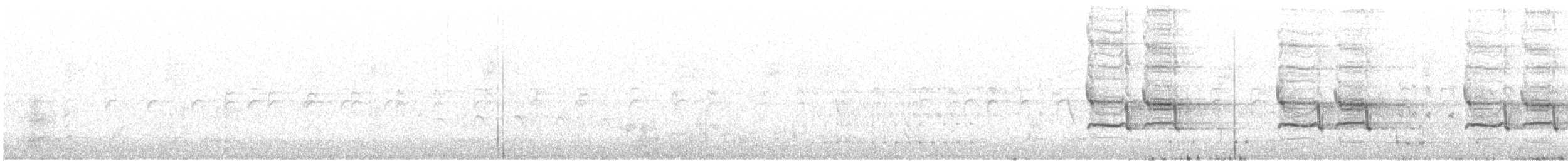 Grallina Australiana - ML124828331