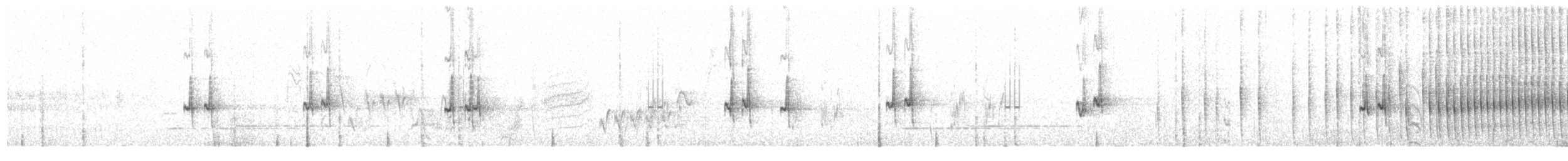 Weißbrust-Dickichtschlüpfer - ML124916631