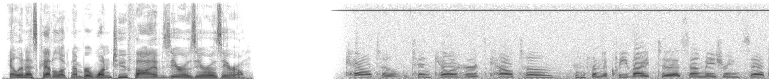 False Killer Whale - ML125000