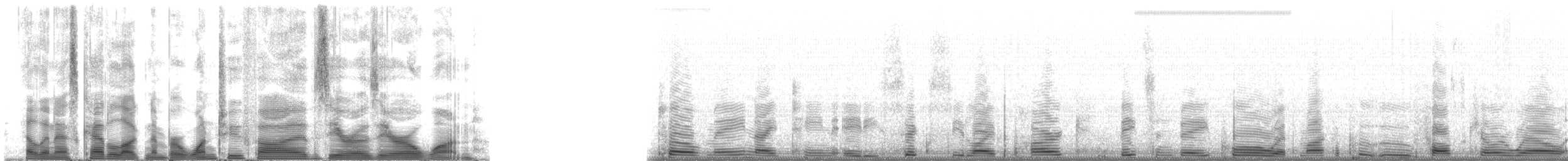 False Killer Whale - ML125001