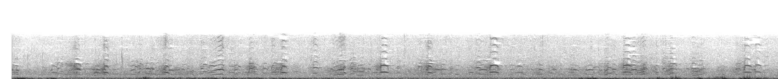 berneška malá (ssp. hutchinsii) - ML125001901
