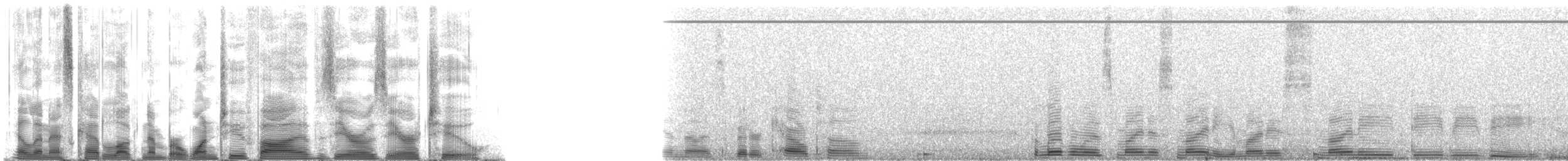 False Killer Whale - ML125002