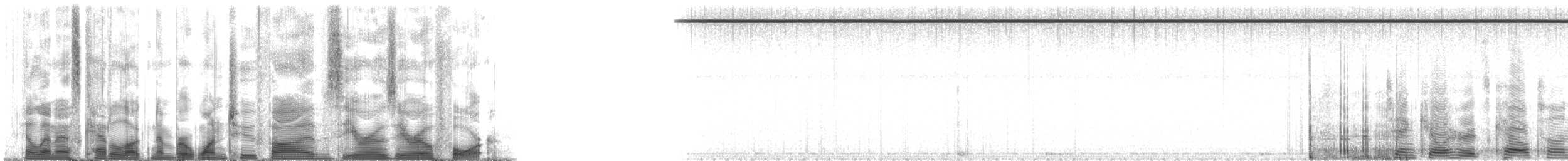 False Killer Whale - ML125004