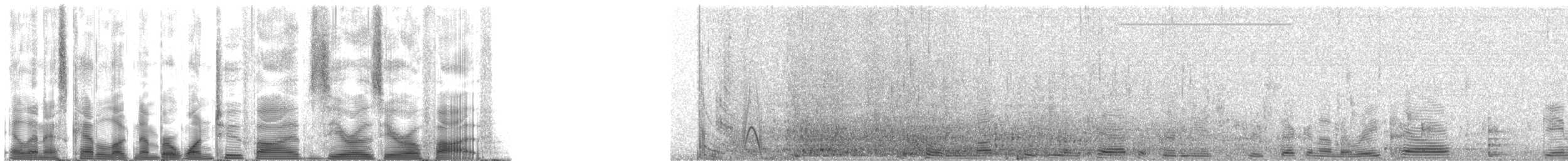 False Killer Whale - ML125005