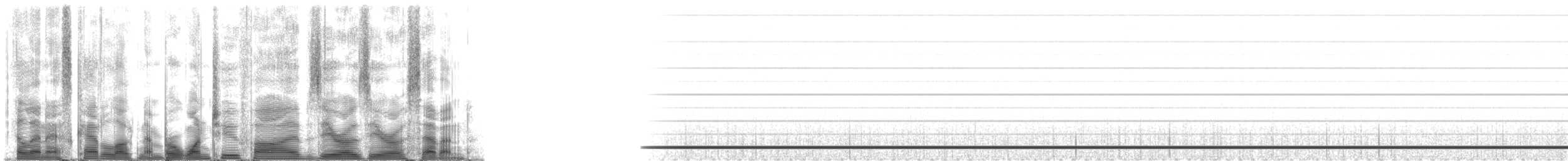 False Killer Whale - ML125007