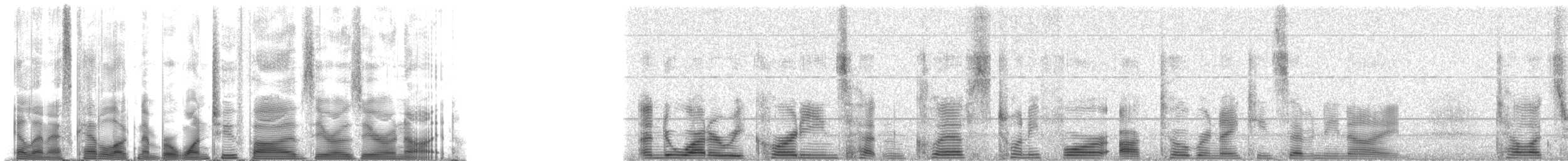 Weddell Seal - ML125009