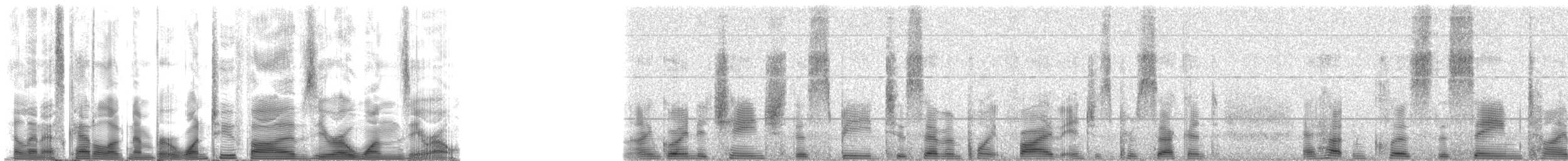 Weddell Seal - ML125010