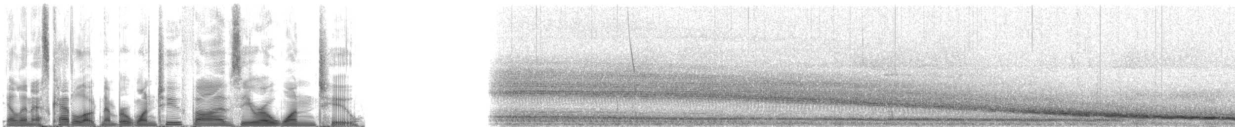 Weddell Seal - ML125012