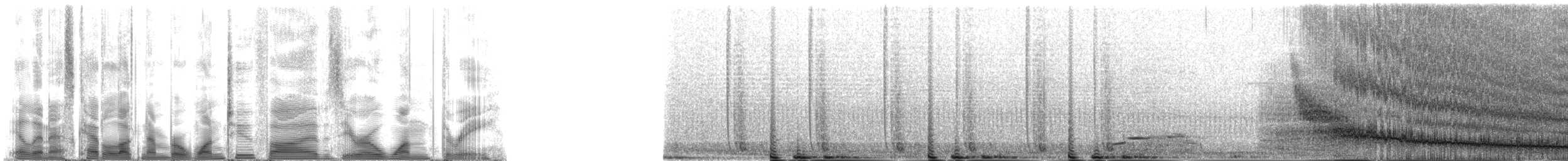 Weddell Seal - ML125013