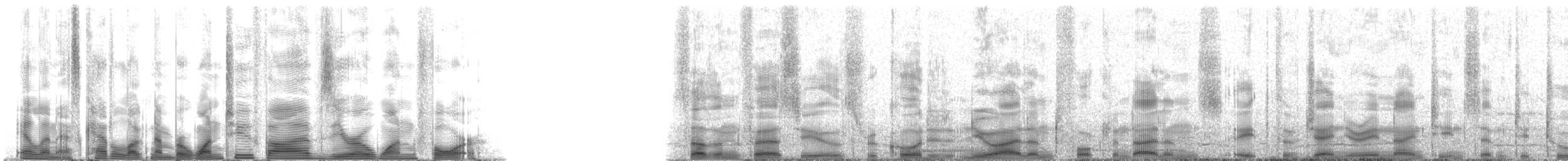 South American Fur Seal - ML125014