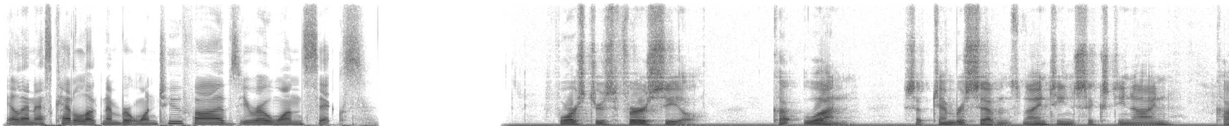 Long-nosed Fur Seal - ML125016