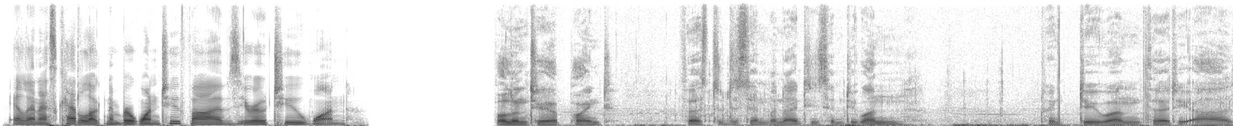 南象海豹 - ML125021