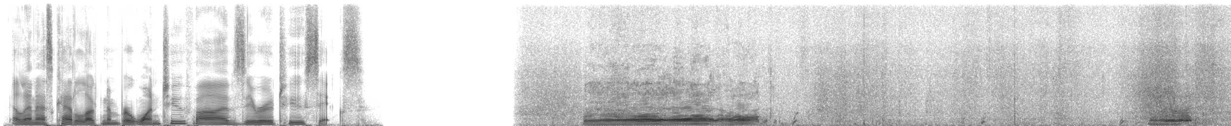 Hawaiian Monk Seal - ML125026