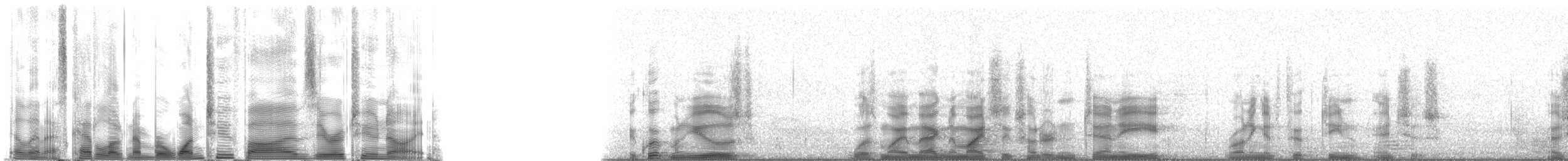 Short-finned Pilot Whale - ML125029