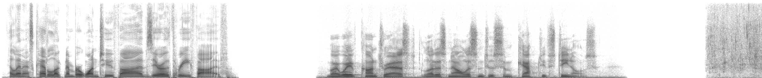 Rough-toothed Dolphin - ML125035