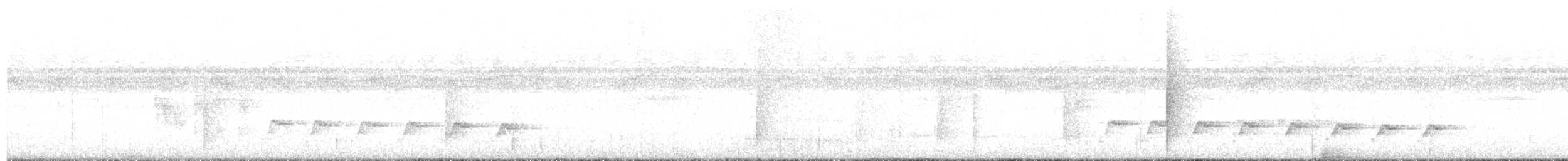 Weißflanken-Ameisenschlüpfer - ML125079861