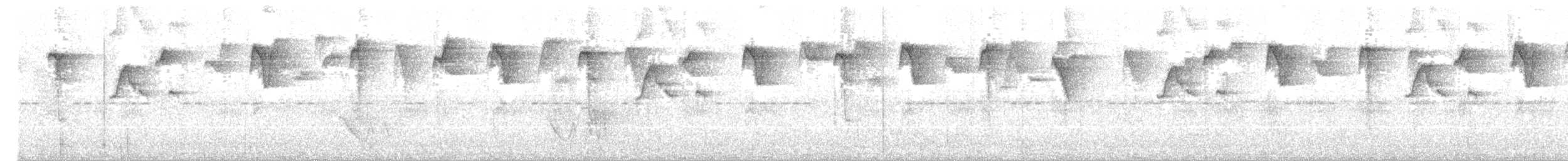 Пестрогорлый колибри-отшельник - ML125123631